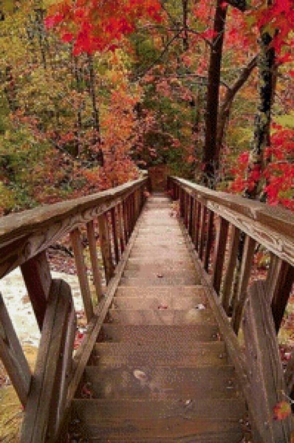 №722988 - лестница, деревья, природа - предпросмотр