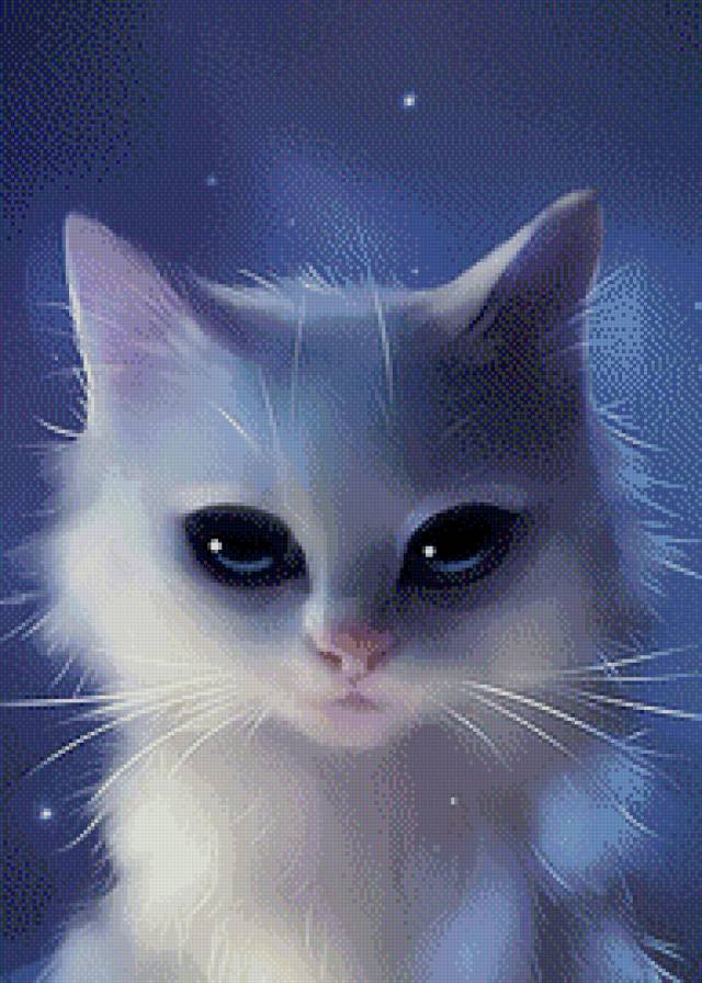 Котик - котик, животные, кот, кошка - предпросмотр