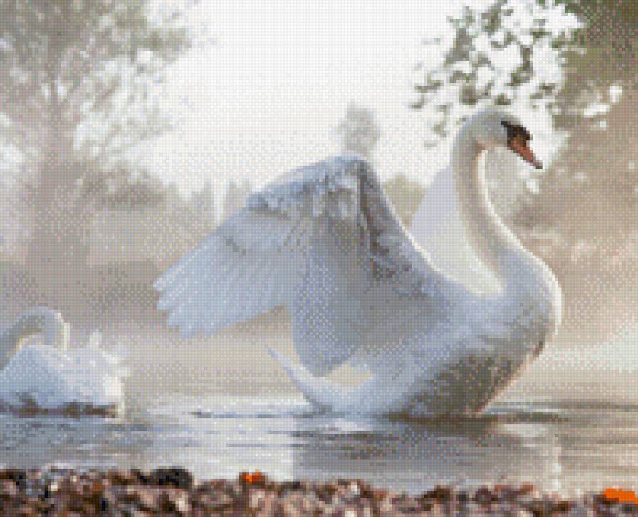 лебедь - предпросмотр