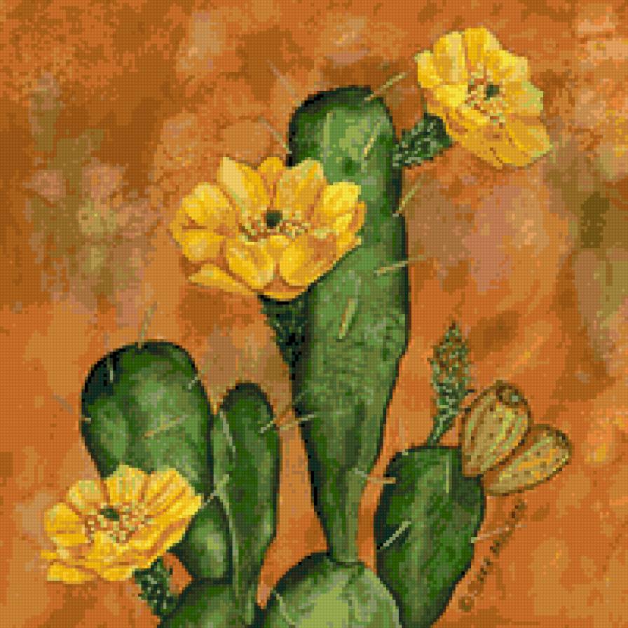 Cactus - cactus - предпросмотр