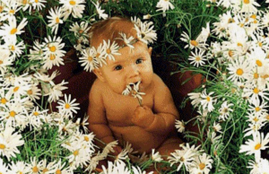 В ромашках - цветы, дети, природа - предпросмотр