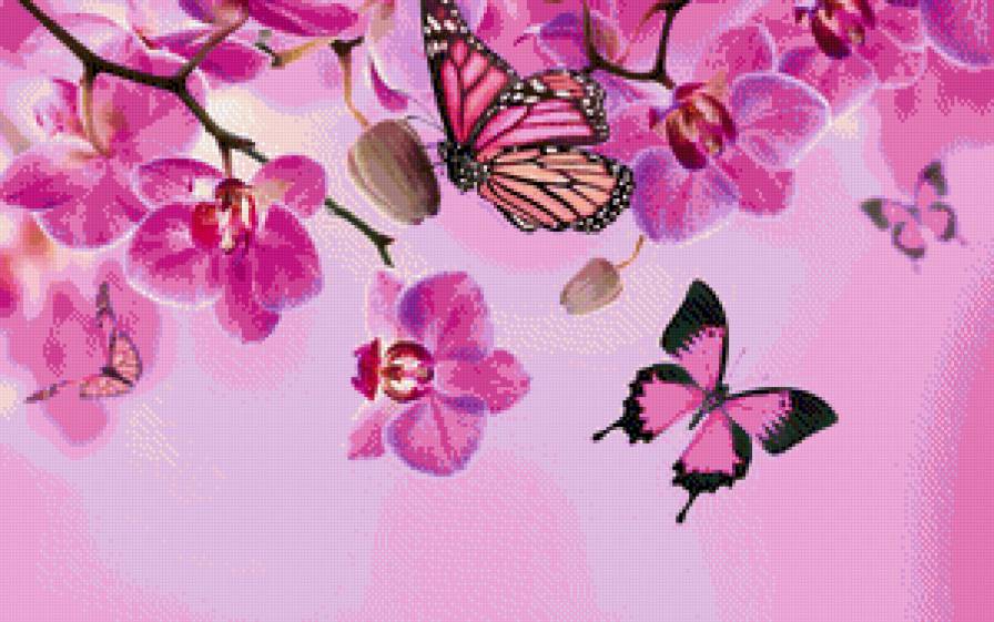Орхидея - цветы, орхидея, бабочки - предпросмотр