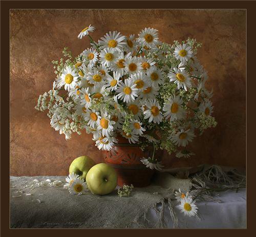 Ромашки - оригинал
