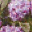 Предпросмотр схемы вышивки «Сирень» (№723704)