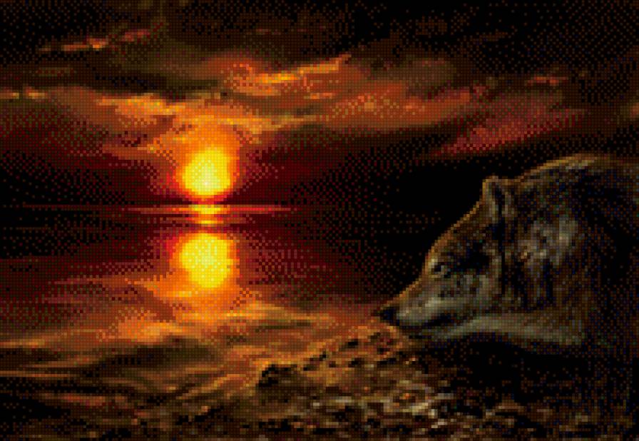 Волк на закате - закат, волк, вода - предпросмотр