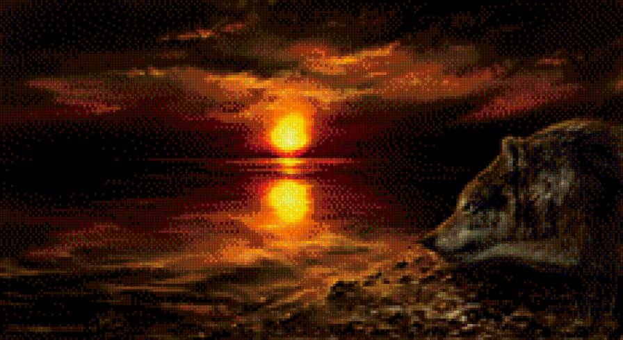 Волк на закате - волк, вода, закат - предпросмотр