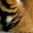 Предпросмотр схемы вышивки «тигр» (№723880)
