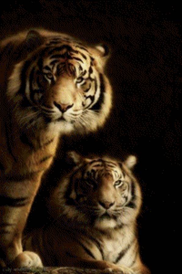 тигры - тигры, животные - предпросмотр