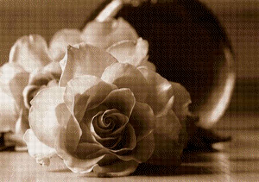 роза - цветы, сепия - предпросмотр