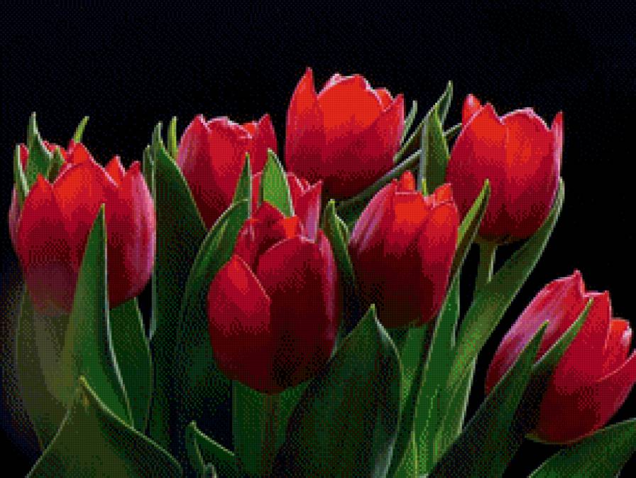 1111 - предпросмотр