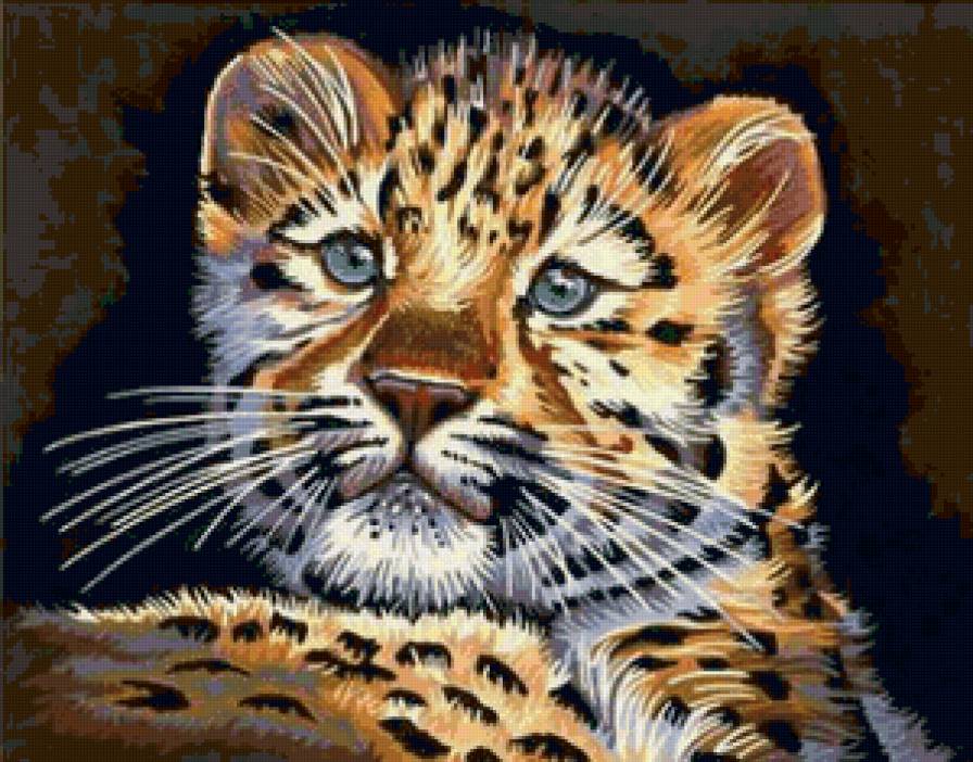 Маленький леопард - кошки, животные - предпросмотр