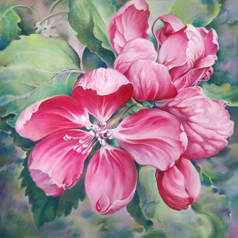 красные цветы - цветы - оригинал