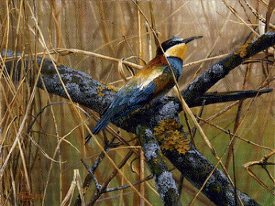 Зимородок - зимородок, птицы, картины - предпросмотр