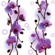 Оригинал схемы вышивки «Орхидеи» (№724140)
