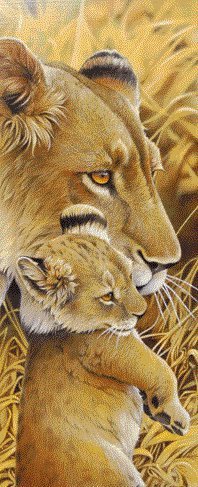 львица - животные - оригинал