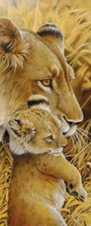 львица - животные - предпросмотр