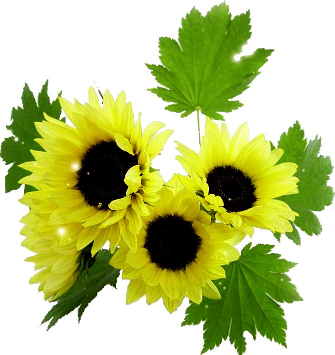 1112 - оригинал