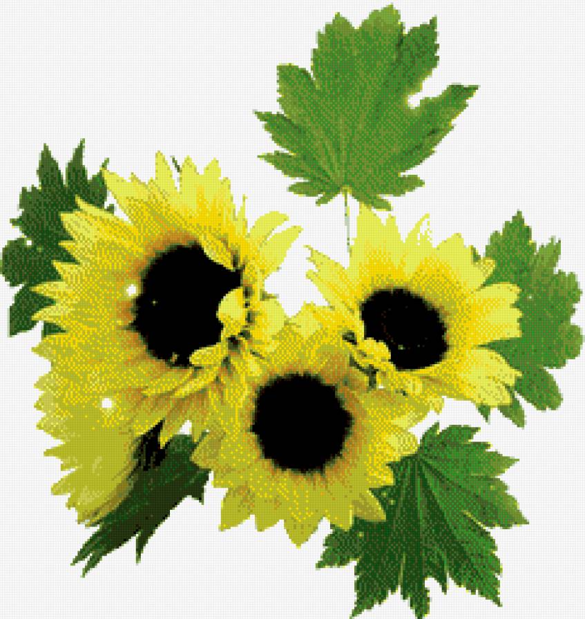 1112 - предпросмотр