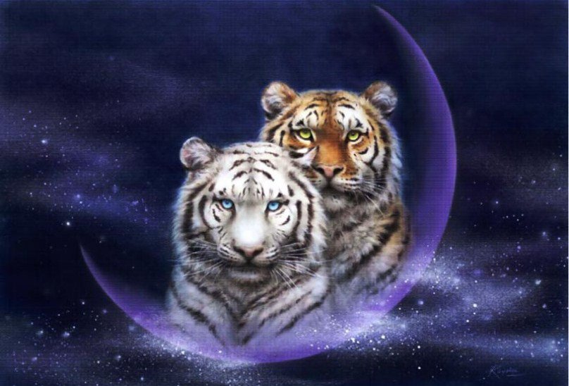 11 - оригинал