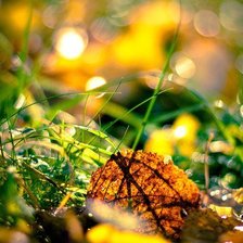 Схема вышивки «1124»