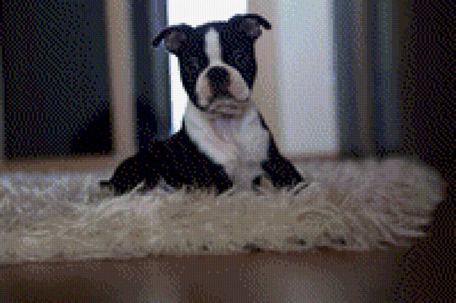 №724625 - предпросмотр