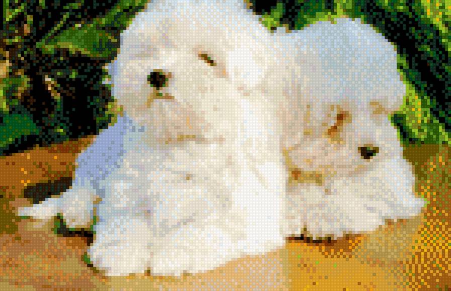 №724627 - предпросмотр