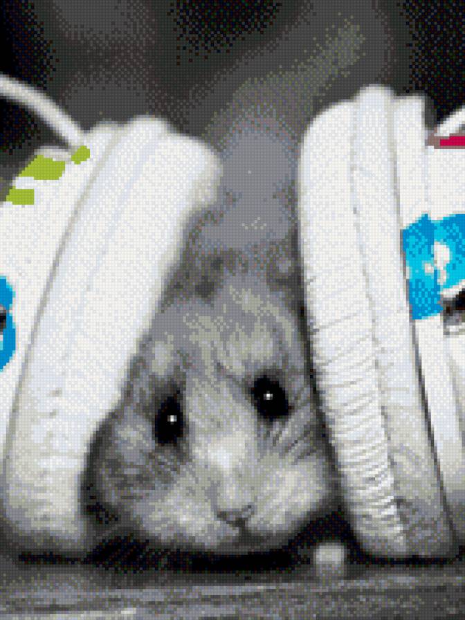 мышь - мышонок, мышь - предпросмотр