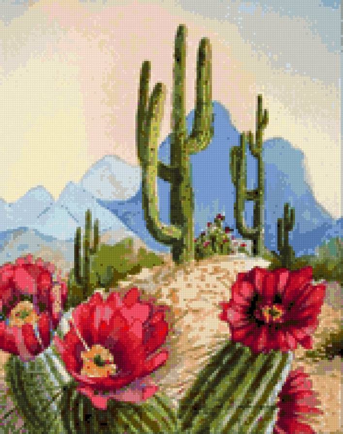 Cactus - предпросмотр