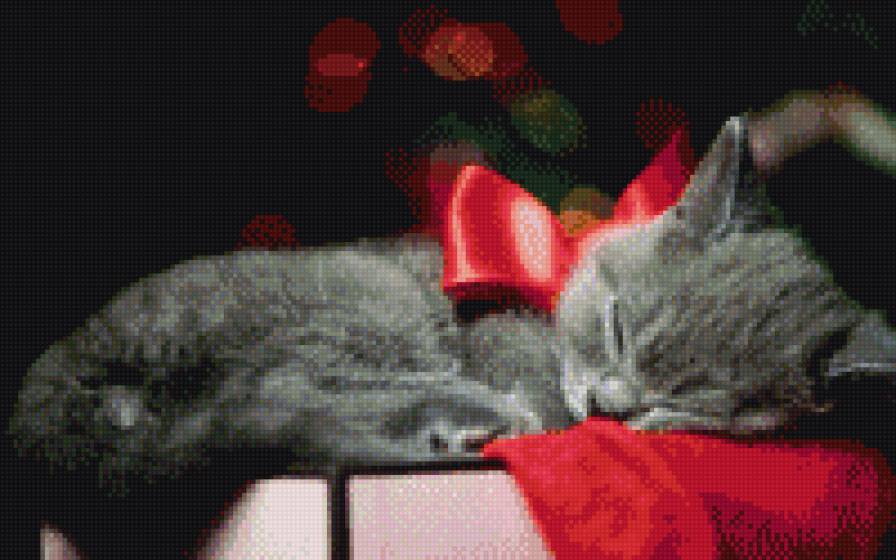 кот - серый, кот, котенок - предпросмотр