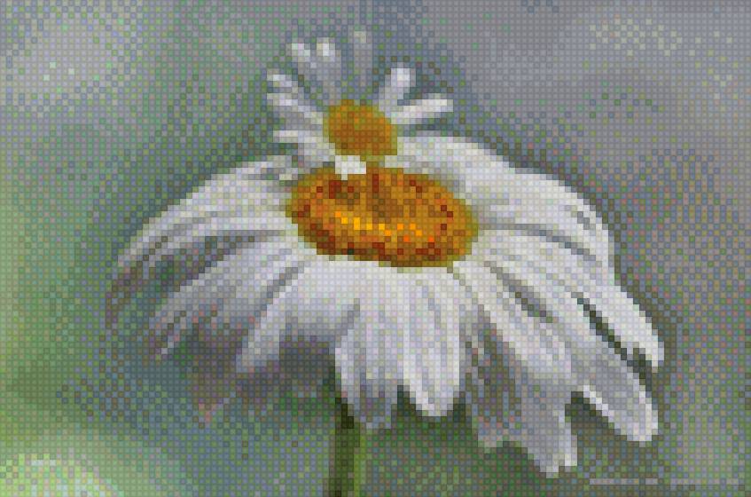 Ромашка - вышивка, ромашка, вышивка крестиком, вышивкацветы - предпросмотр