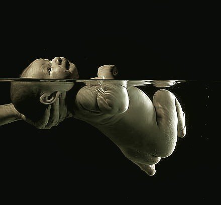 Первое купание - ребенок, дитя, малыш, монохром - оригинал