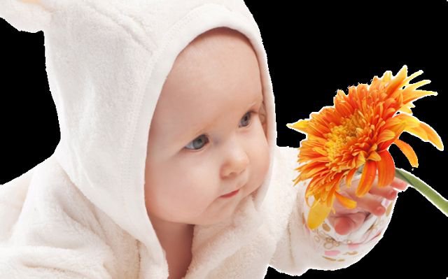 Малыш с цветком - цветок, ребенок, малыш - оригинал