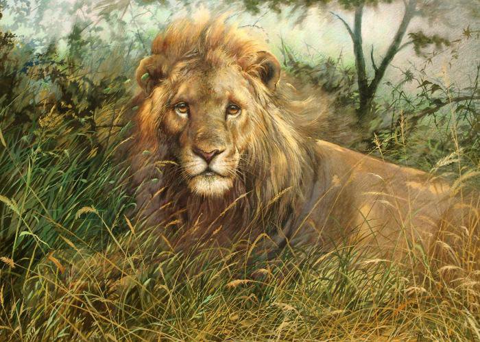 Лев - животные, лев, картины, саванна - оригинал