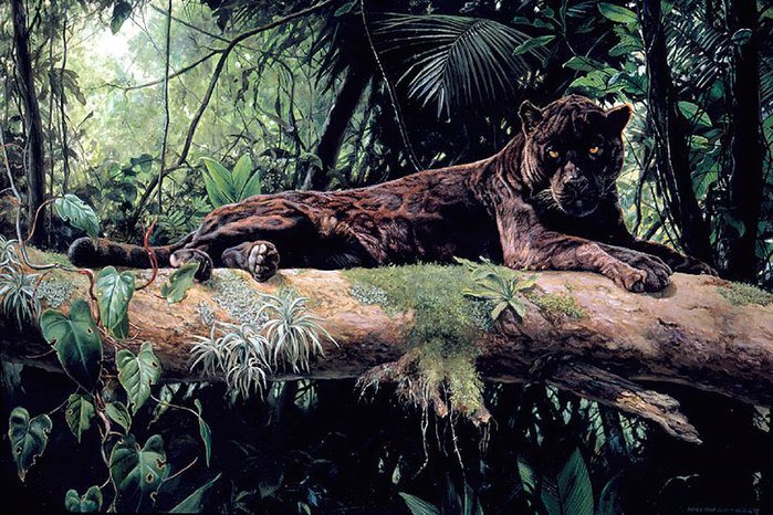 Чёрная пантера - пантера, животные, джунгли, картины - оригинал