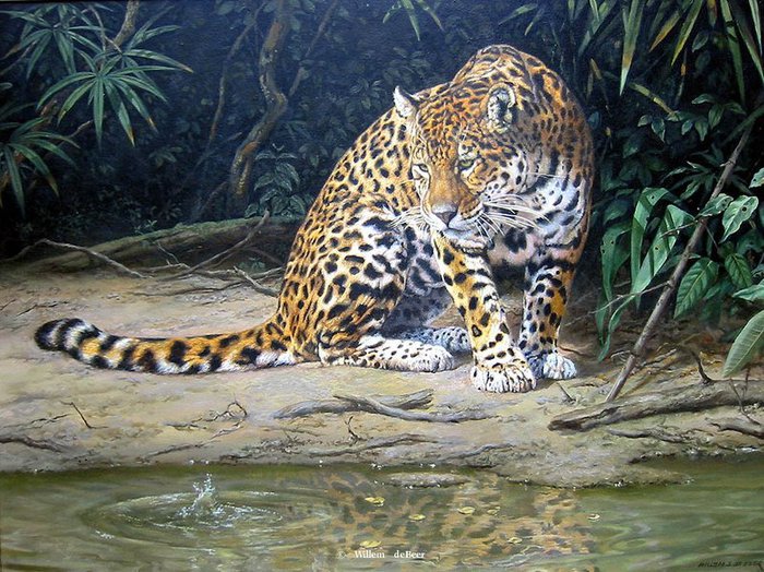 Леопард - животные, картины, джунгли, леопард - оригинал