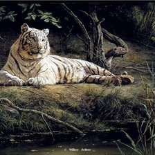 Оригинал схемы вышивки «белый тигр» (№725773)