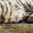 Предпросмотр схемы вышивки «белый тигр» (№725773)