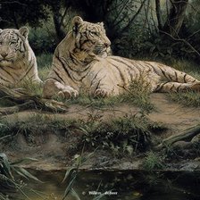 Оригинал схемы вышивки «белые тигры» (№725774)