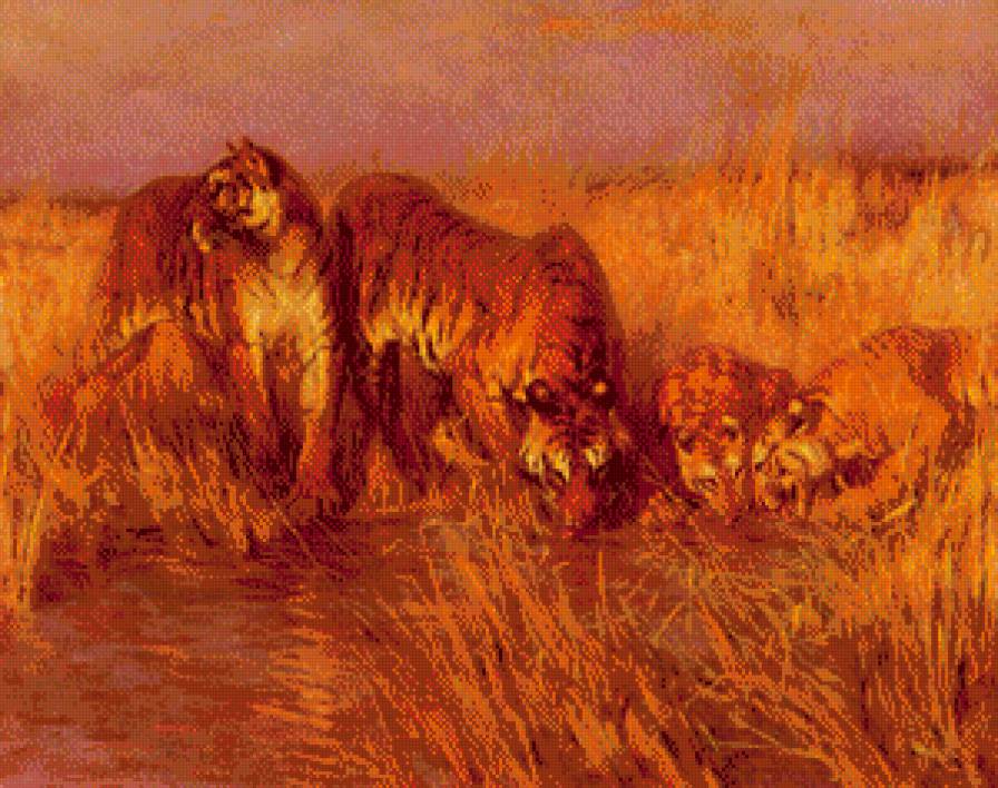 Тигры на водопое - животные, картины, тигры - предпросмотр