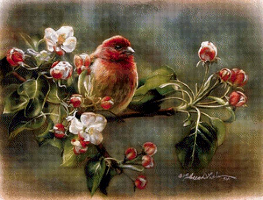 №725828 - птица - предпросмотр