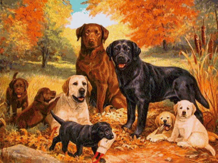 №725941 - предпросмотр