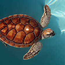 Схема вышивки «в океане»