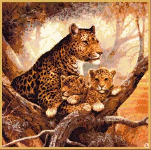 Саванна - природа, материнство, леопарды, пейзаж, животные - оригинал
