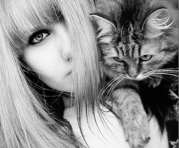 Девушка с кошкой - оригинал