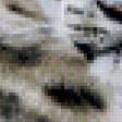 Предпросмотр схемы вышивки «Белый леопард» (№726315)