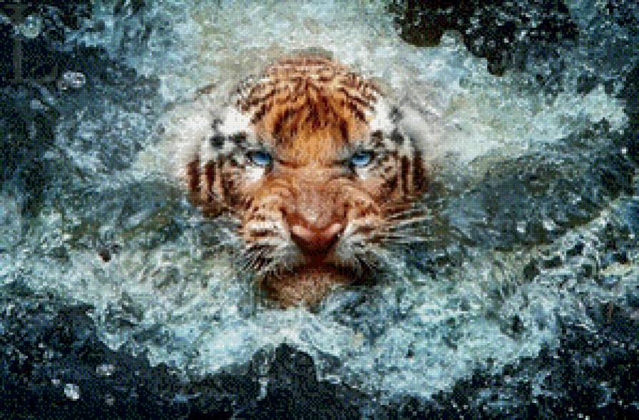 Тигр - предпросмотр