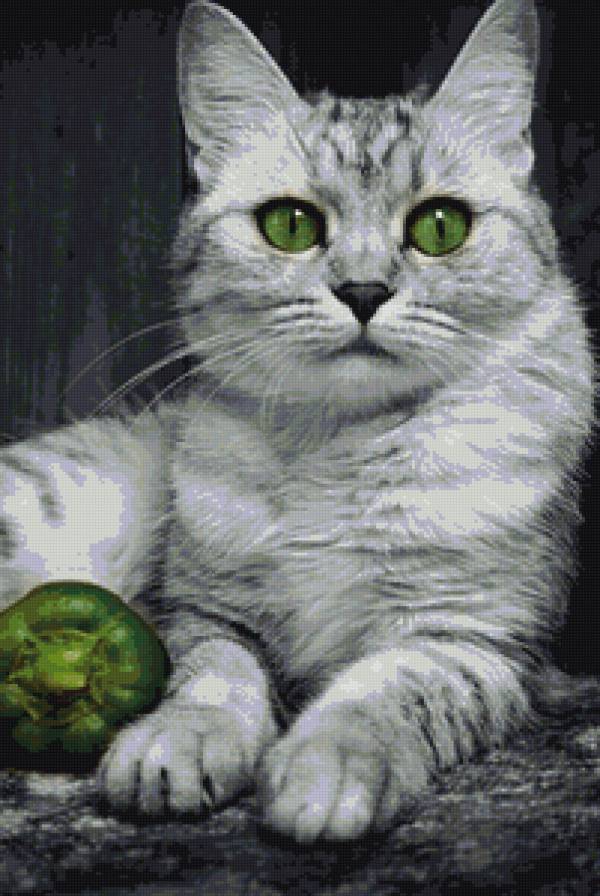 зеленоглазый красавец - кот, коты, котики - предпросмотр