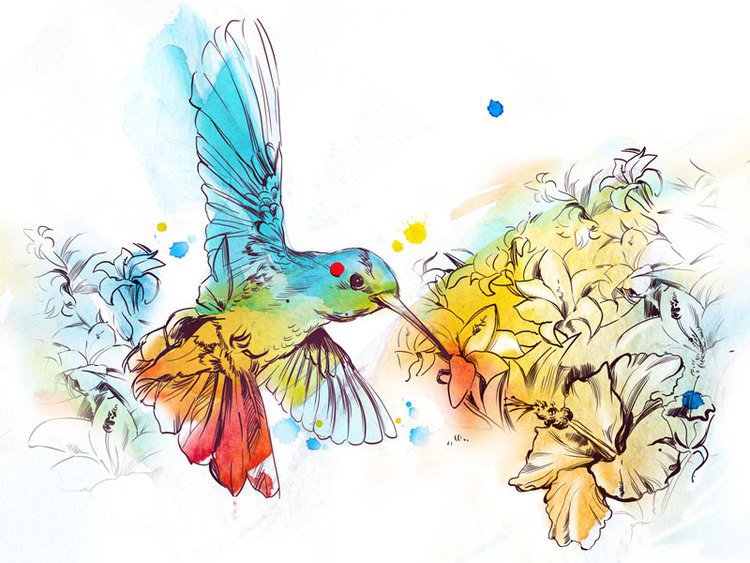 Колибри - цвет, тату, птичка, колибри - оригинал