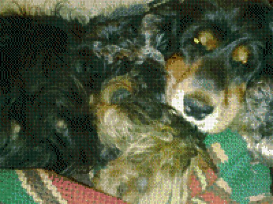 Лютя - предпросмотр