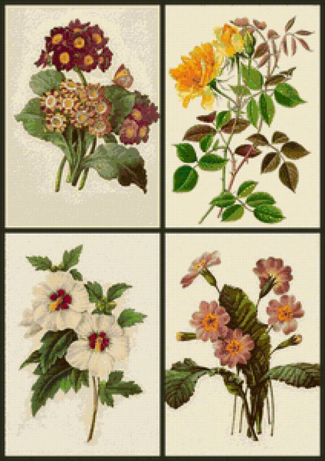 Букетики 1. - предпросмотр